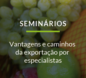 Seminários