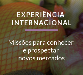 EXPERIÊNCIA INTERNACIONAL