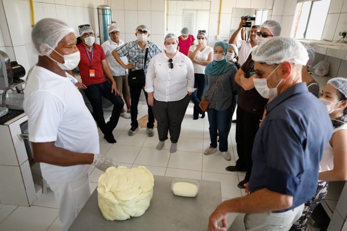 Diplomatas conhecem fazenda de búfalos premiada por melhor queijo do Brasil