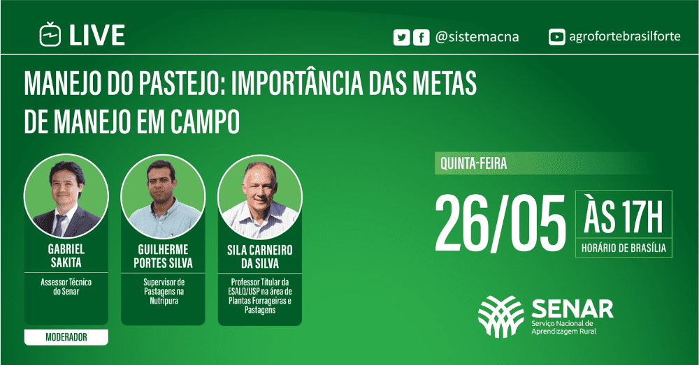 Live Manejo do Pastejo importância das metas de manejo em campo