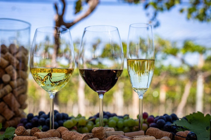 CNA apoia campanha Vinho Legal