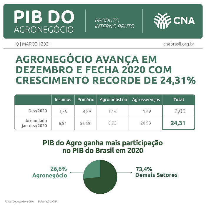 A composição do PIB brasileiro