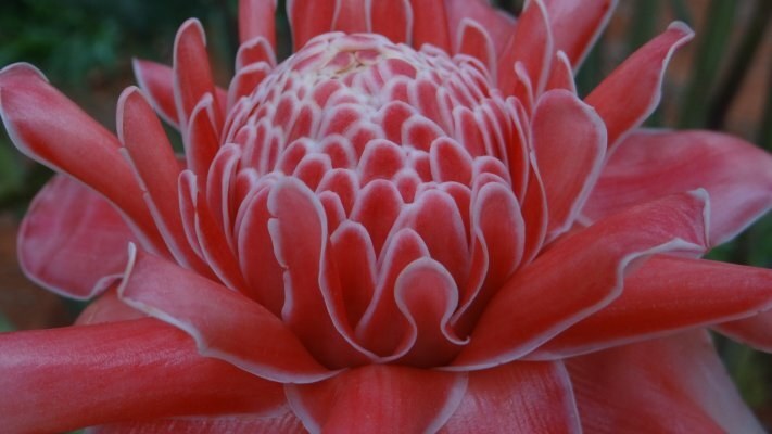 ATeG se expande para mais duas cadeias produtivas