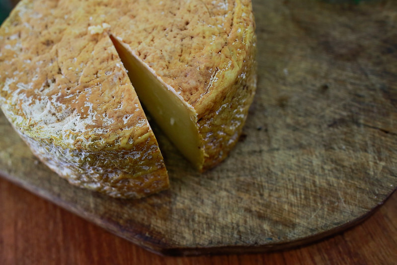 Encontro analisa oportunidades e conhecimentos técnicos sobre queijos artesanais