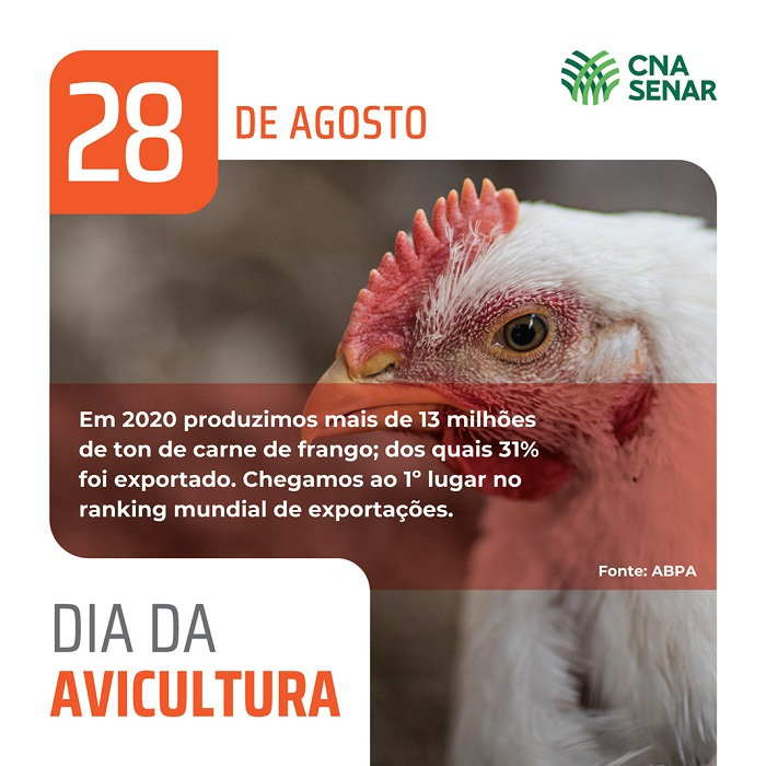 28 08 Dia da Avicultura