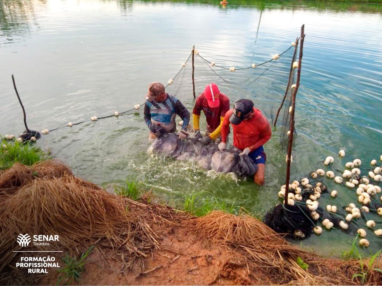 3158fdc1 1078 4dab 80df 870d7100ade2