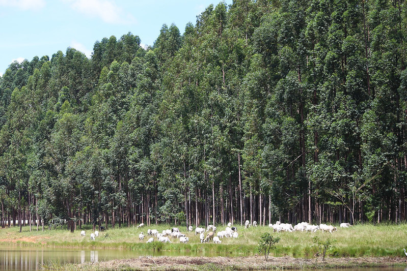 Sistema CNA/Senar participa do lançamento do Plano ABC+