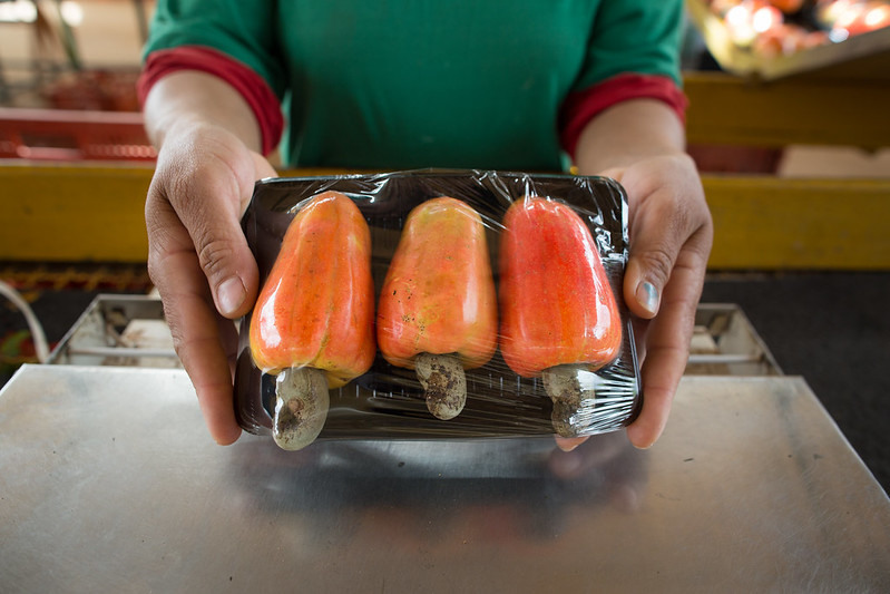 CNA debate desafios da pauta exportadora do agro brasileiro