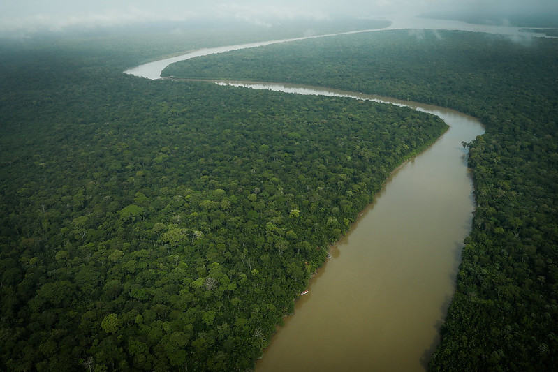 CNA diz que produção de fibras naturais é alternativa para desenvolvimento da Amazônia