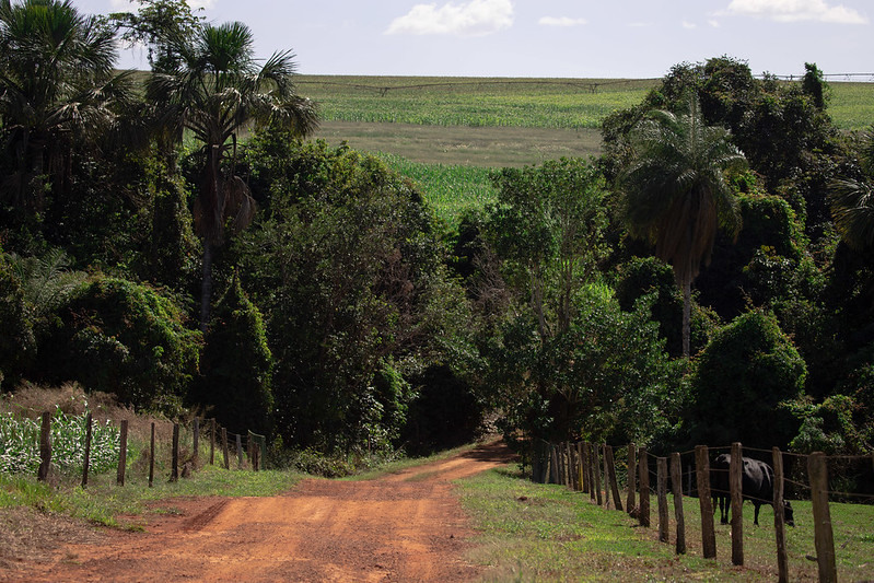Encontro debate modelo de análise do CAR em São Paulo