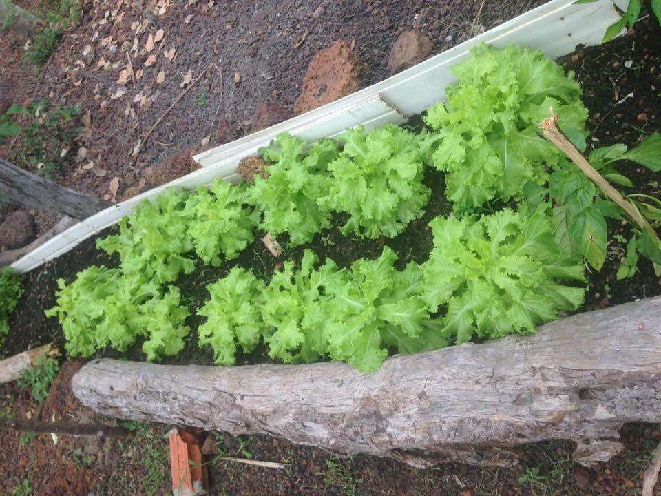 54437461 297382190958190 4720224922943619072 n