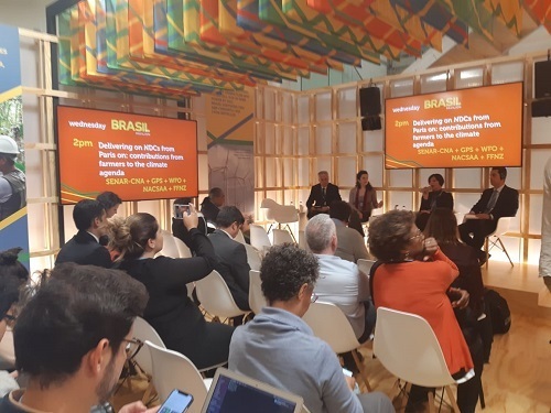 Painel promove diálogo e troca de experiências na COP24