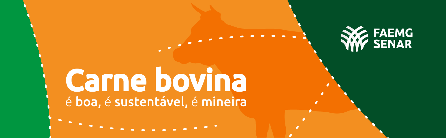 Arte CNA Campanha carne bovina