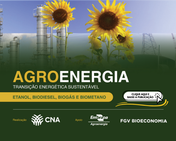 ⬆️ Clique na imagem para abrir a publicação