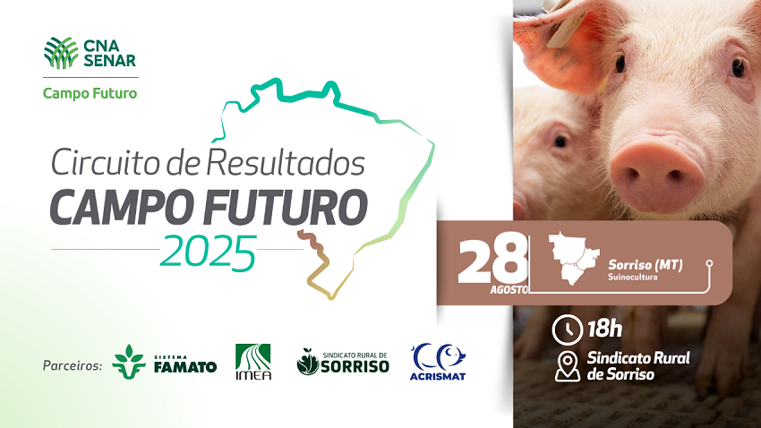 Mato Grosso recebe circuito do Campo Futuro com foco na suinocultura