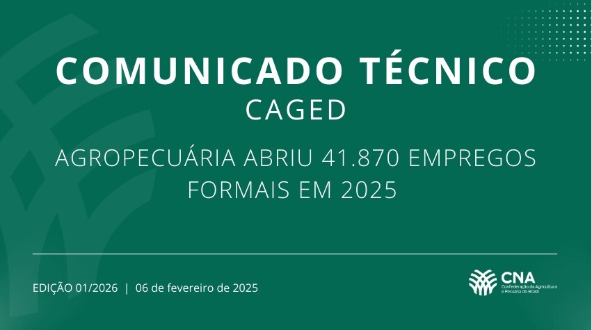 CNA publica análise dos dados do Caged em 2025