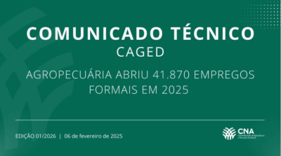 CNA publica análise dos dados do Caged em 2025
