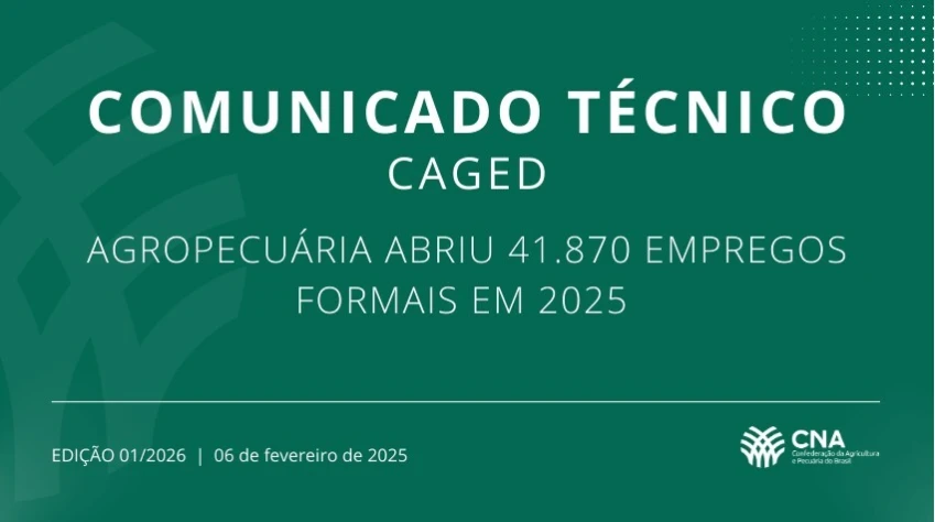 CNA publica análise dos dados do Caged em 2025