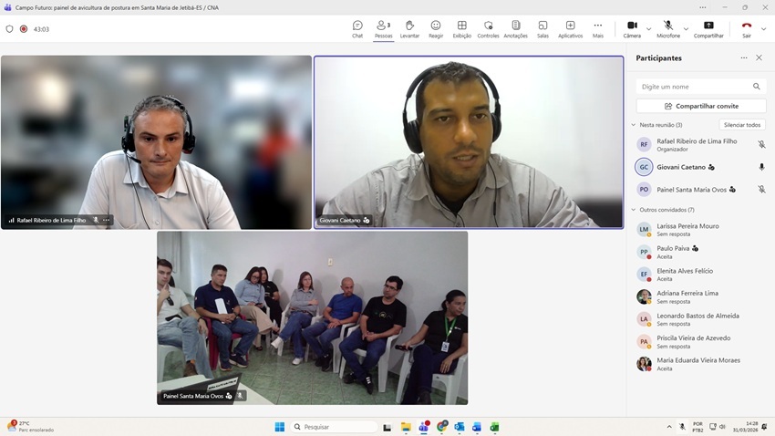 Painel de avicultura de postura, em formato híbrido