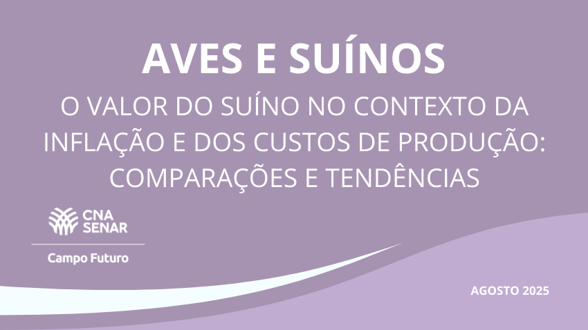 O valor do suíno no contexto da inflação e dos custos de produção: comparações e tendências