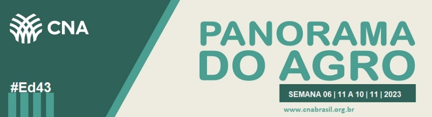 IMAGEM PA 6 A 10 DE NOVEMBRO