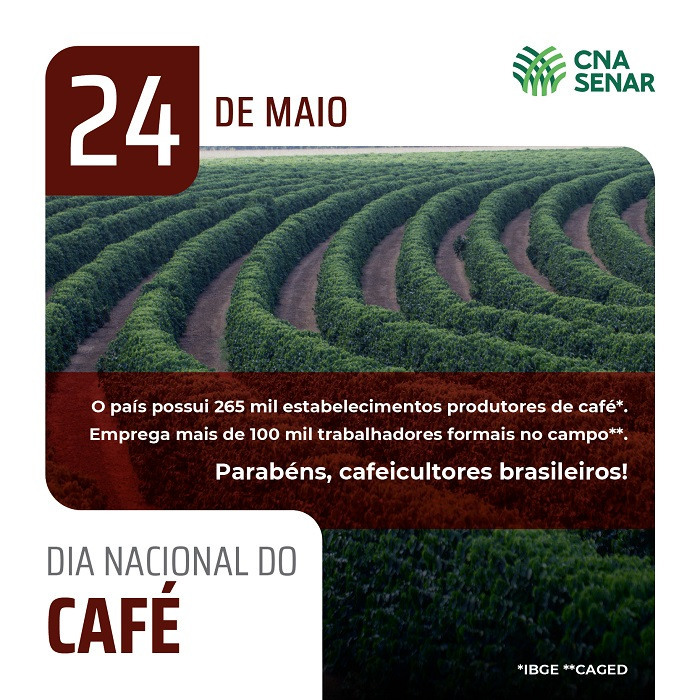 Dia Nacional do Café - Bebida é a mais popular entre os brasileiros |  Confederação da Agricultura e Pecuária do Brasil (CNA)