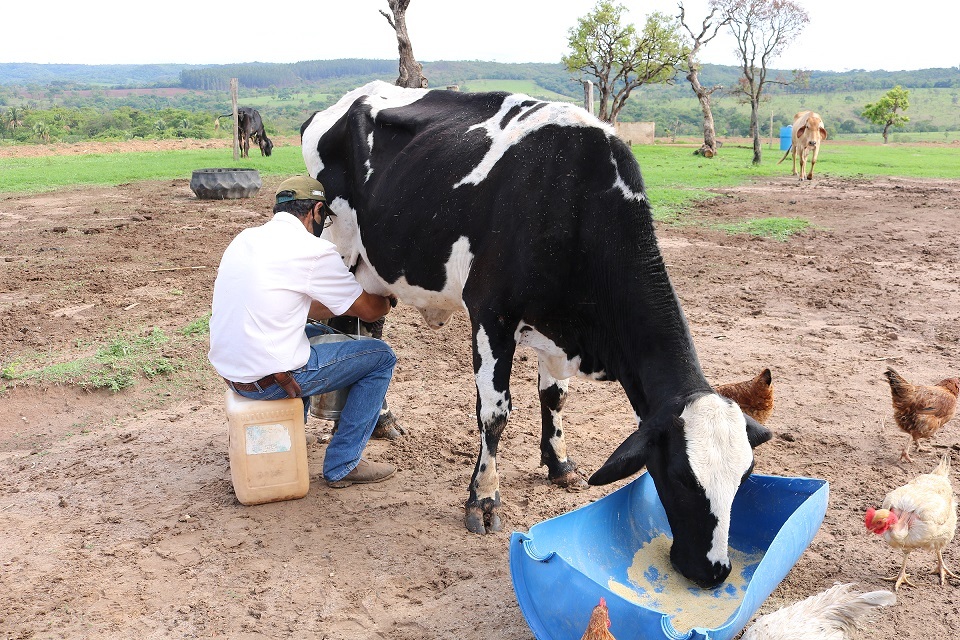 FIP vagas para o Triangulo Mineiro 1