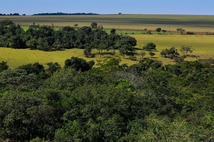 Fazenda Entre Rios