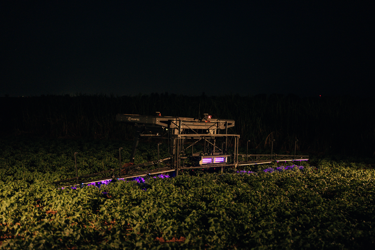 Inteligência Artificial faz “ficção científica” se tornar realidade no meio rural