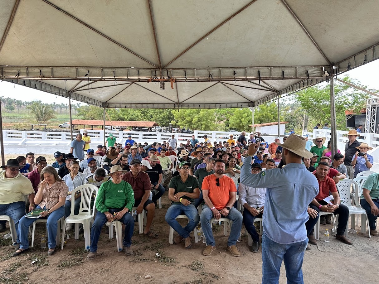 Dia de Campo reúne 300 participantes e consolida maior encontro da bovinocultura no Mearim