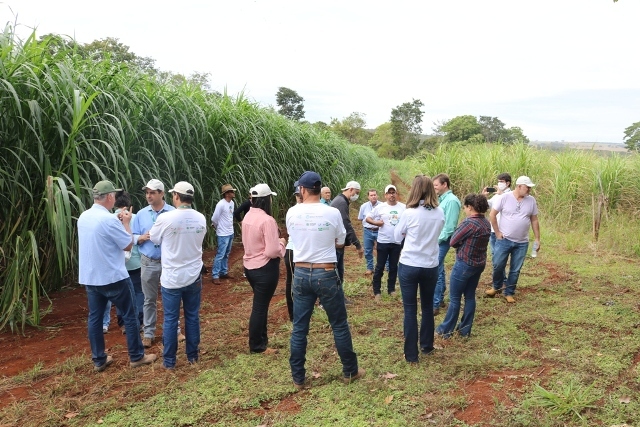 MG e selecionado para avaliacao de indicadores do FIP 1