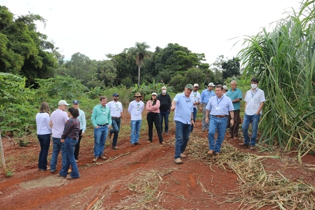 MG e selecionado para avaliacao de indicadores do FIP 2