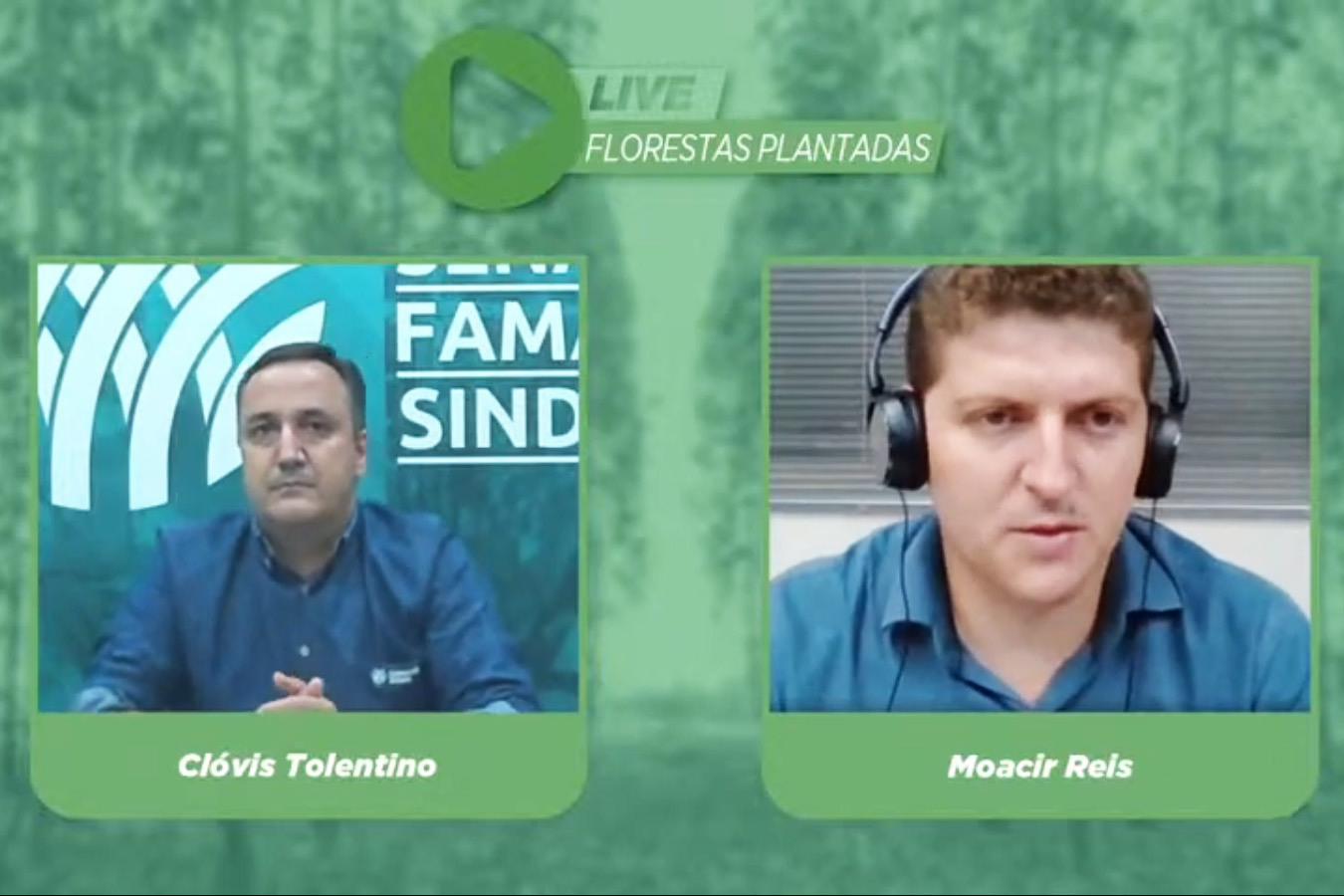 Print Live Florestas Plantadas