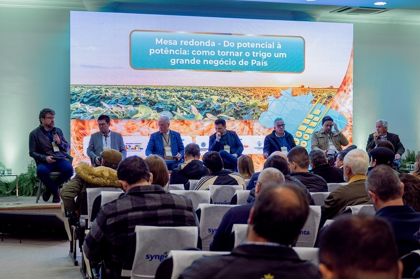 CNA debate estratégias para ampliar a competitividade do trigo no país