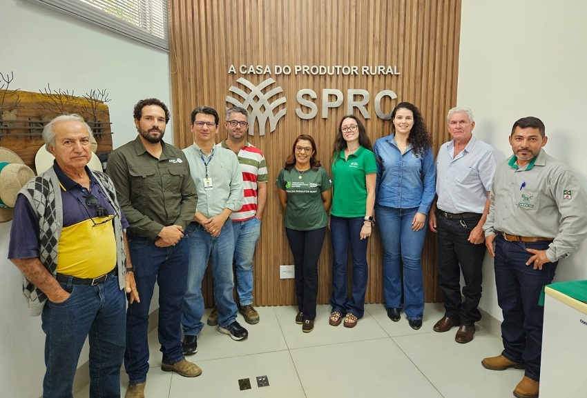 Painel de eucalipto em Curvelo