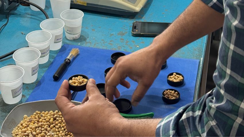 CNA e Faep testam tecnologia de classificação automatizada de soja no Paraná