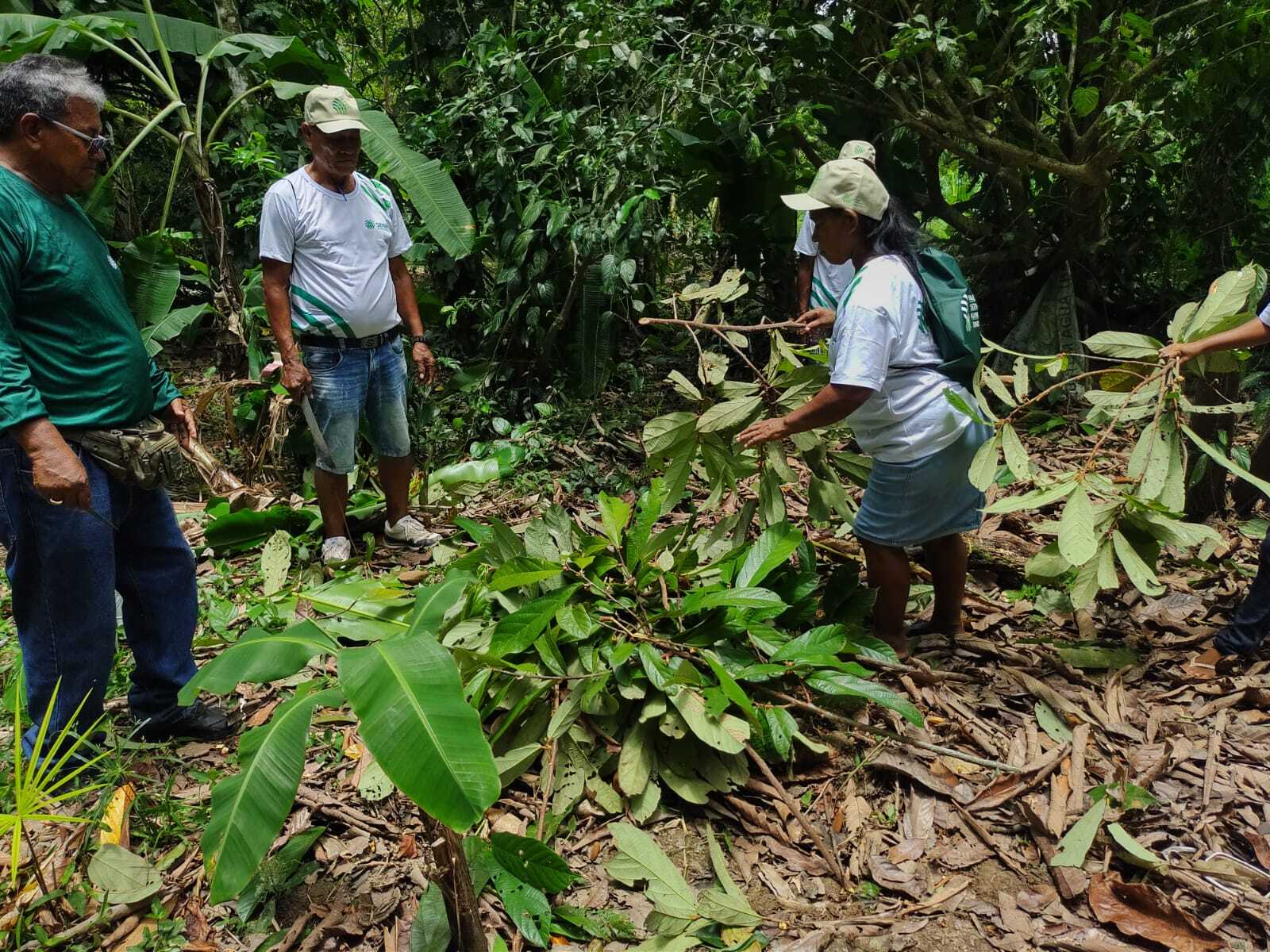 Treinamento moniliase