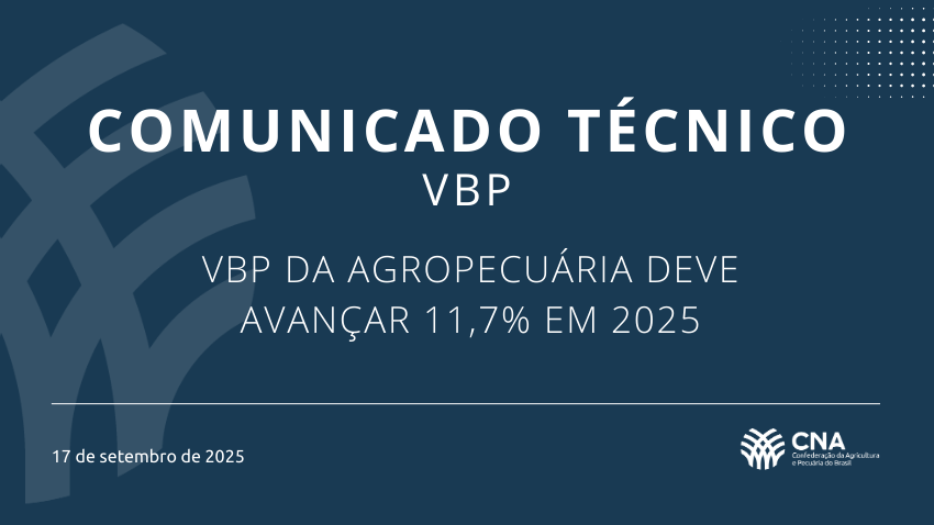 VBP DA AGROPECUÁRIA DEVE AVANÇAR 11,7% EM 2025