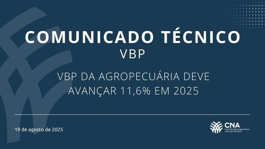 VBP DA AGROPECUÁRIA DEVE AVANÇAR 11,6% EM 2025