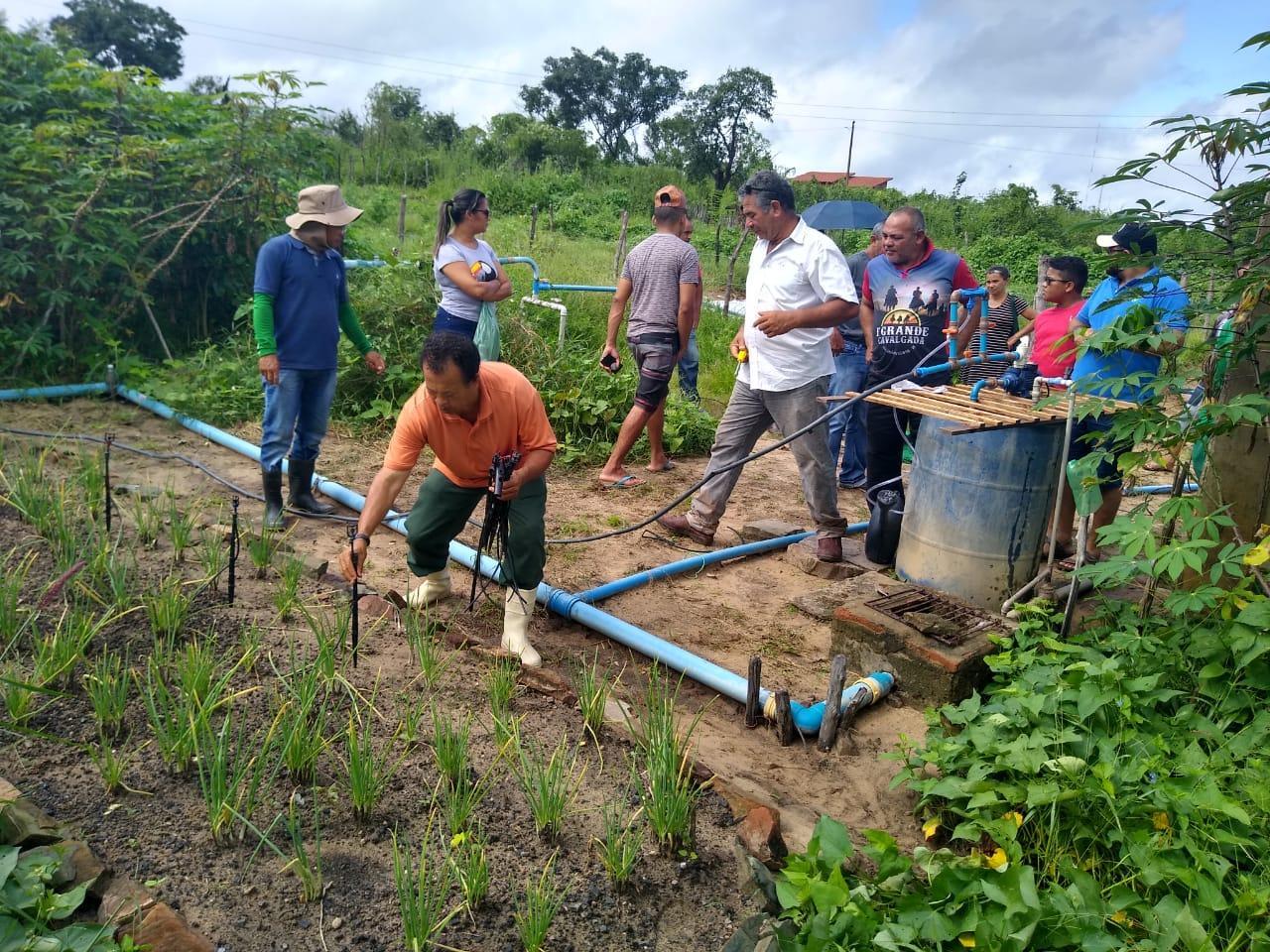 Whats App Image 2019 04 07 at 16 29 18