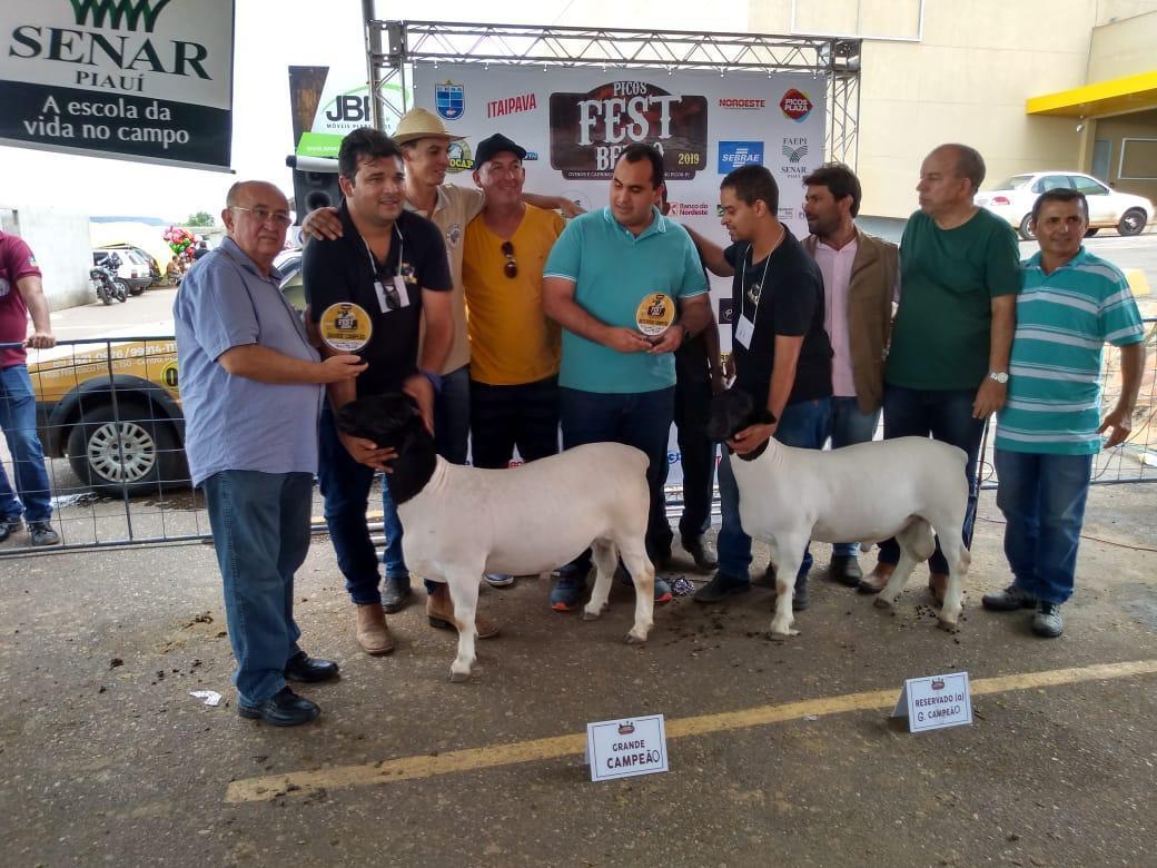 Whats App Image 2019 04 07 at 22 43 06