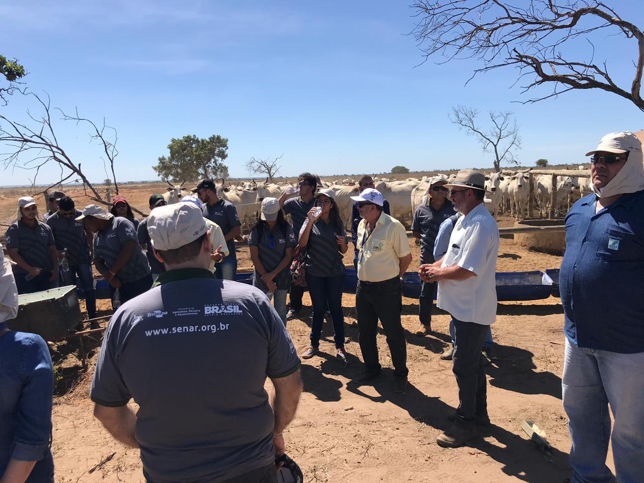 Whats App Image 2019 06 18 at 11 37 15 2