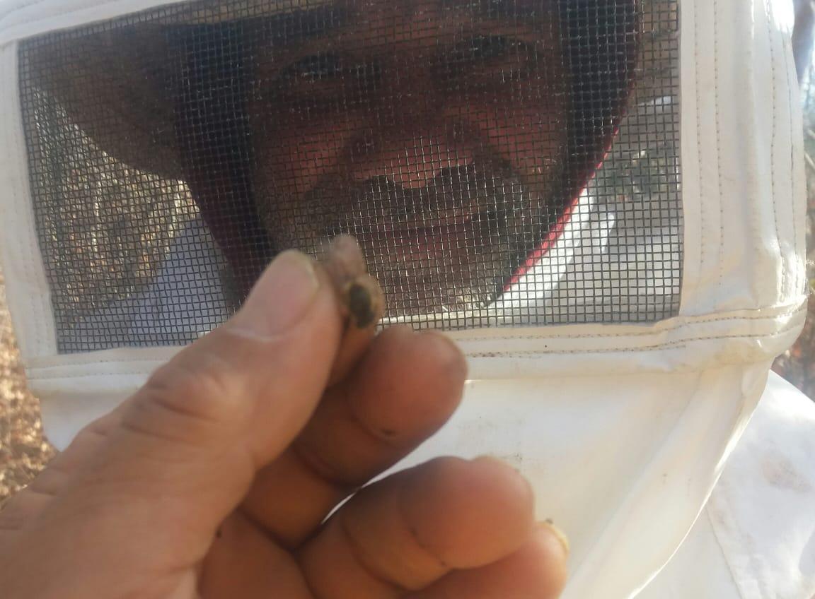 Whats App Image 2019 08 19 at 20 49 44