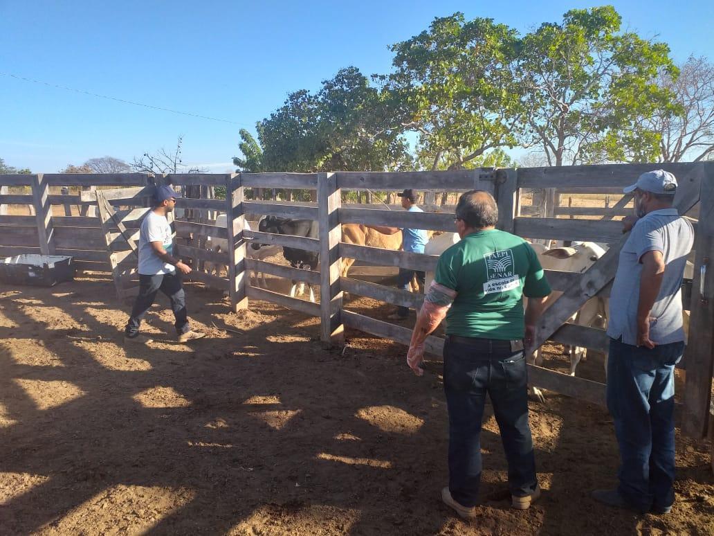 Whats App Image 2019 08 29 at 07 56 16