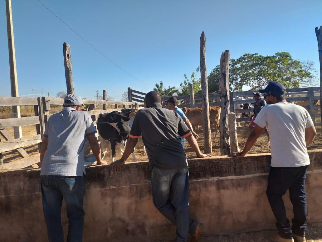 Whats App Image 2019 08 29 at 07 56 17