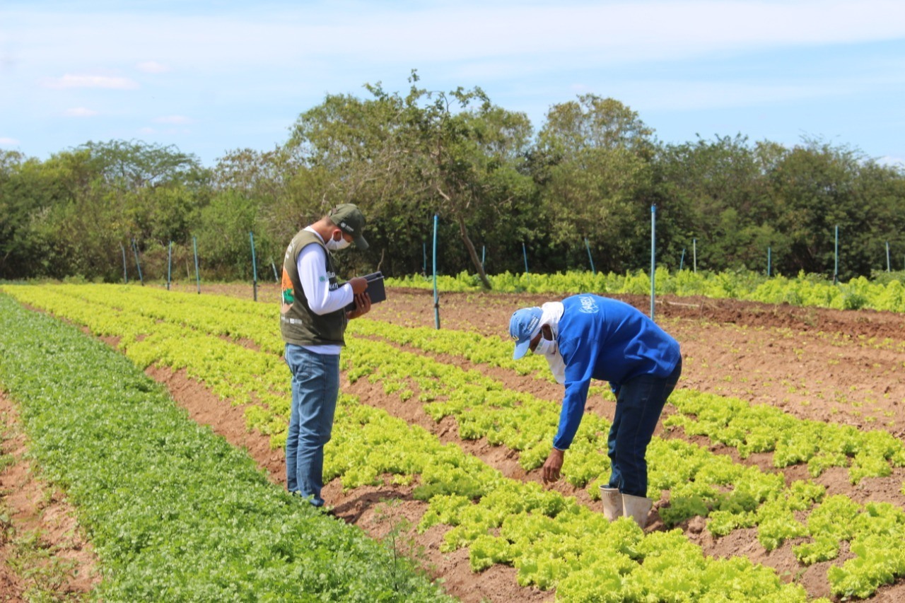 Whats App Image 2020 08 17 at 19 09 32 2