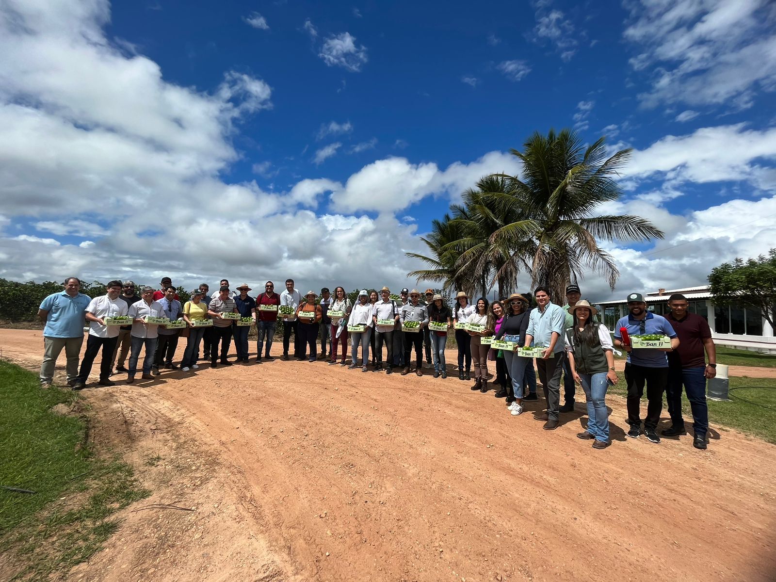 Visita à São Francisco Citrus (80% da produção de limão é exportada)