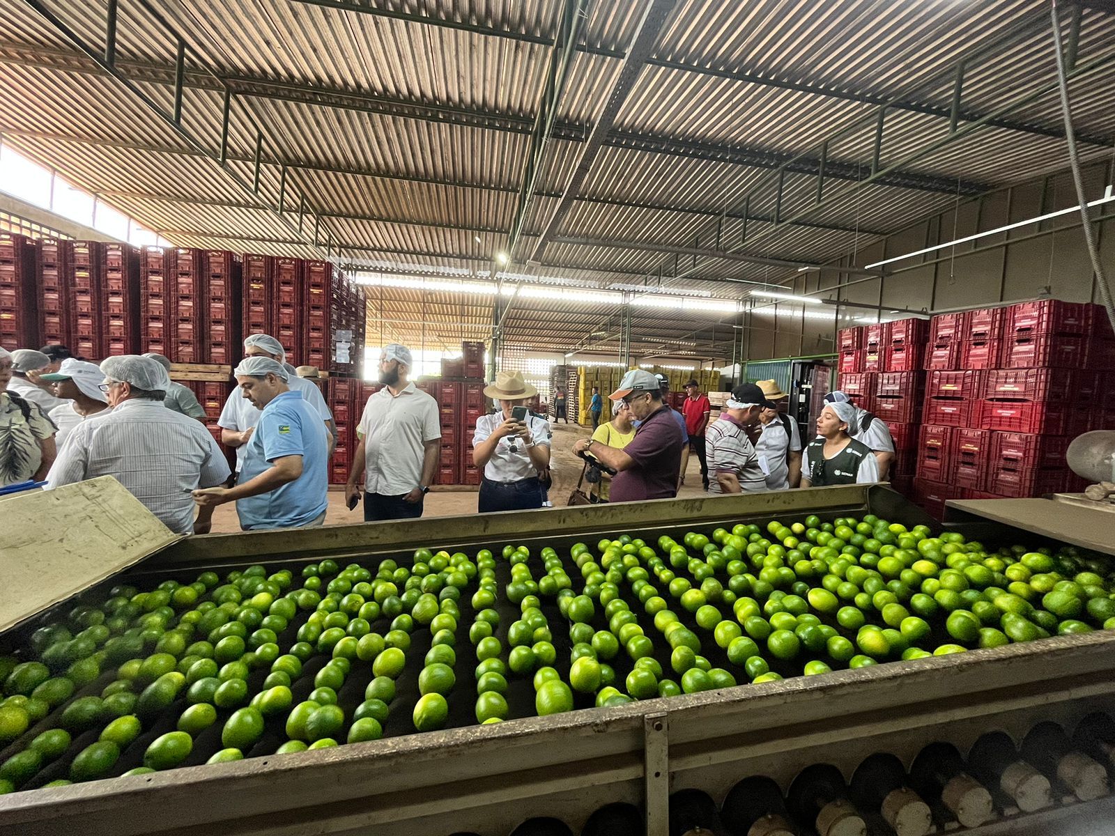 Os jornalistas conheceram de perto todo o processo de produção, lavagem e embalagem