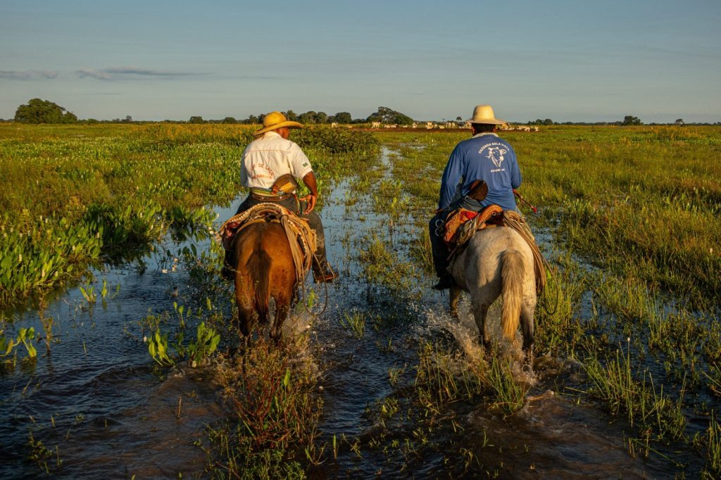 Fazenda Pantaneira Sustentável irá expandir atendimentos a produtores