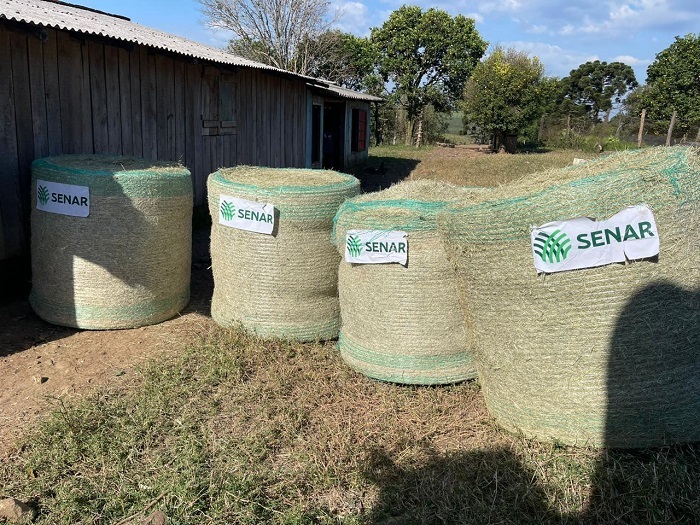 Rolos de feno do Senar estão sendo entregues nas propriedades
